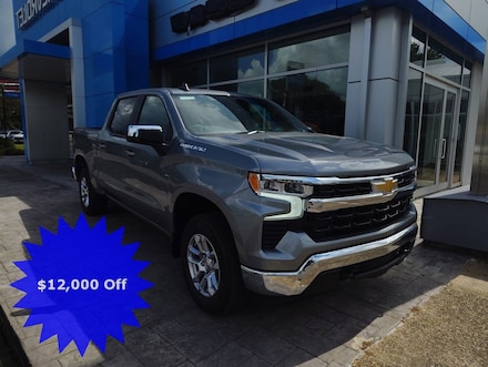 2025 Chevrolet Silverado 1500 LT (2FL) Truck