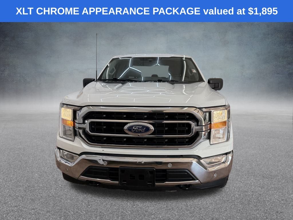 2023 Ford F-150 XLT photo 3