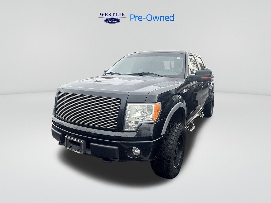 Used 2010 Ford F-150 FX4 Truck