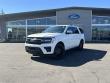 Used 2024 Ford Expedition Platinum Platinum 4x4