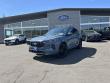Used 2025 Ford Escape ST-Line Elite ST-Line Elite AWD