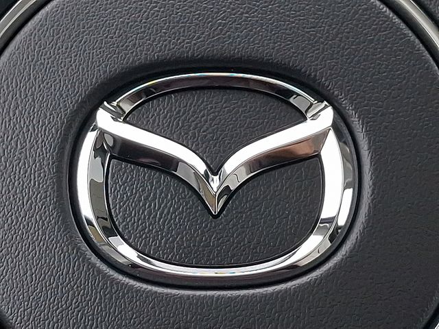 2026 Mazda CX-90 Premium Plus Package - Photo 22
