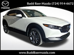 New 2025 Mazda CX-30 2.5 S Premium AWD Sport Utility 3MVDMBDM0SM781101 255331 for sale in Washington, PA