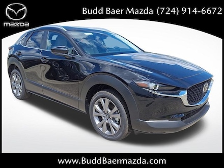 2025 Mazda CX-30 2.5 S Preferred AWD Sport Utility 3MVDMBCM3SM851613 255761