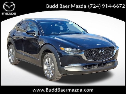 2025 Mazda CX-30 2.5 S Premium AWD Sport Utility 3MVDMBDM9SM786314 255330