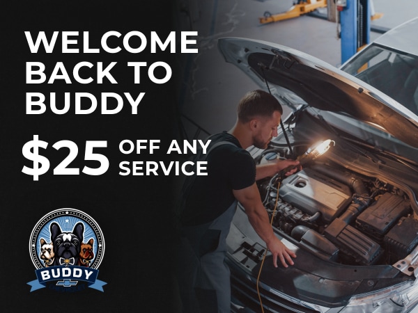 Welcome Back to Buddy off any service