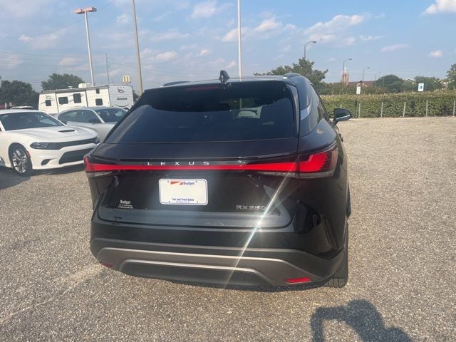 2023 Lexus RX 350 - Photo 29