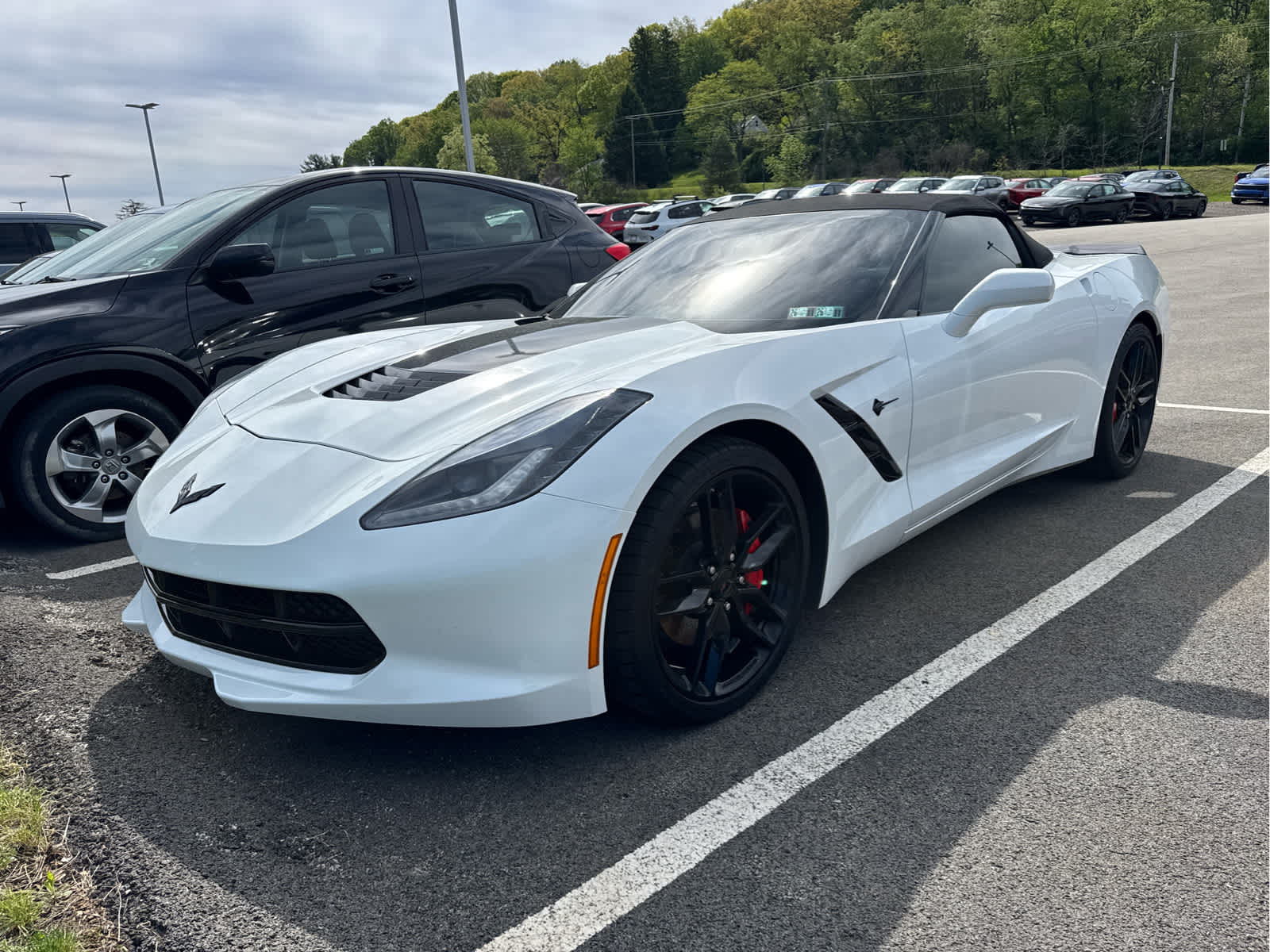 2019 Chevrolet Corvette Stingray Convertible 1LT's photo