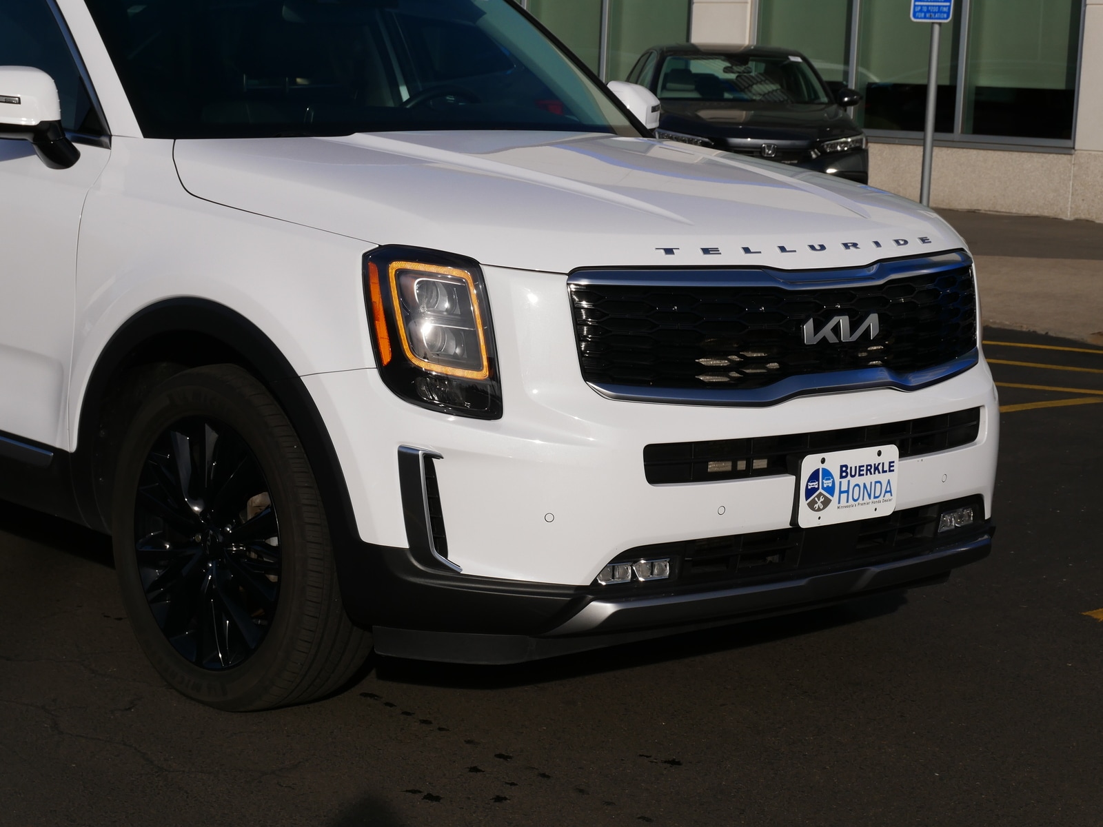 Used 2022 Kia Telluride SX with VIN 5XYP5DHC5NG242225 for sale in Saint Paul, MN