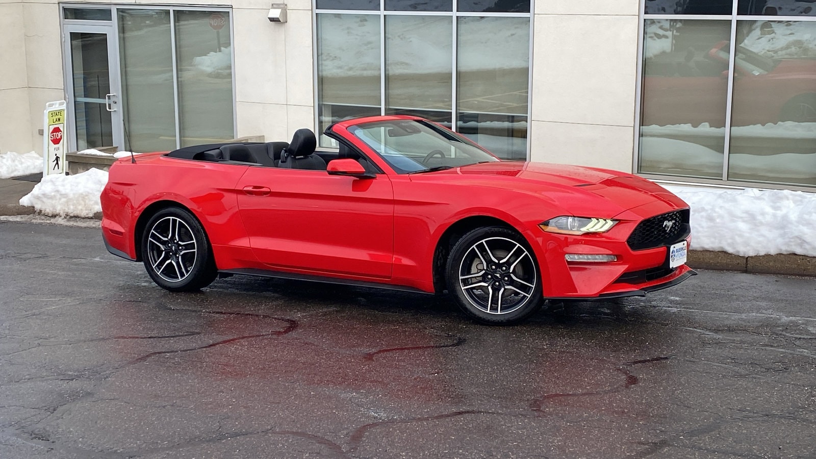 2023 Ford Mustang EcoBoost's photo