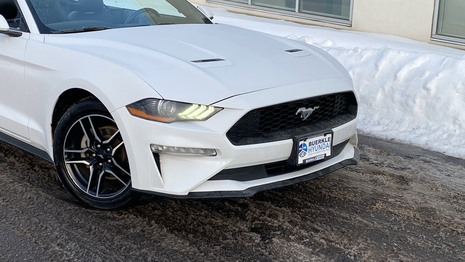 Used 2023 Ford Mustang EcoBoost with VIN 1FATP8UH3P5111135 for sale in Saint Paul, Minnesota