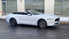 2023 Ford Mustang for Sale in St Paul, MN at Buerkle Hyundai