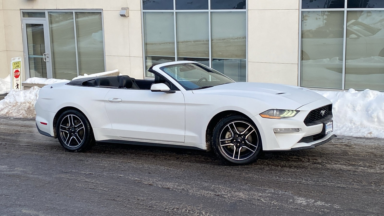 2023 Ford Mustang EcoBoost's photo