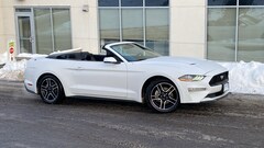 2023 Ford Mustang for Sale in St Paul, MN at Buerkle Hyundai