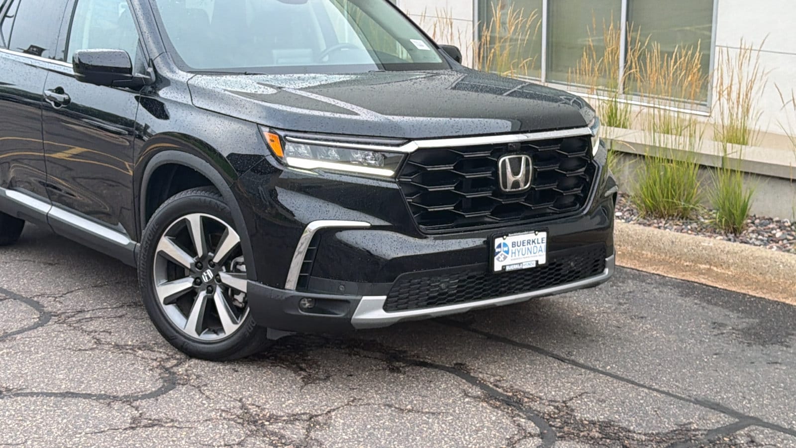Used 2024 Honda Pilot Elite with VIN 5FNYG1H83RB046631 for sale in Saint Paul, Minnesota