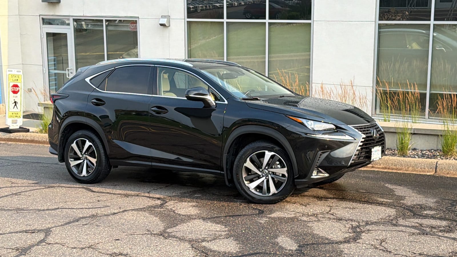 2020 Lexus NX 350 300 AWD's photo