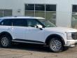  Hyundai Palisade Hybrid
