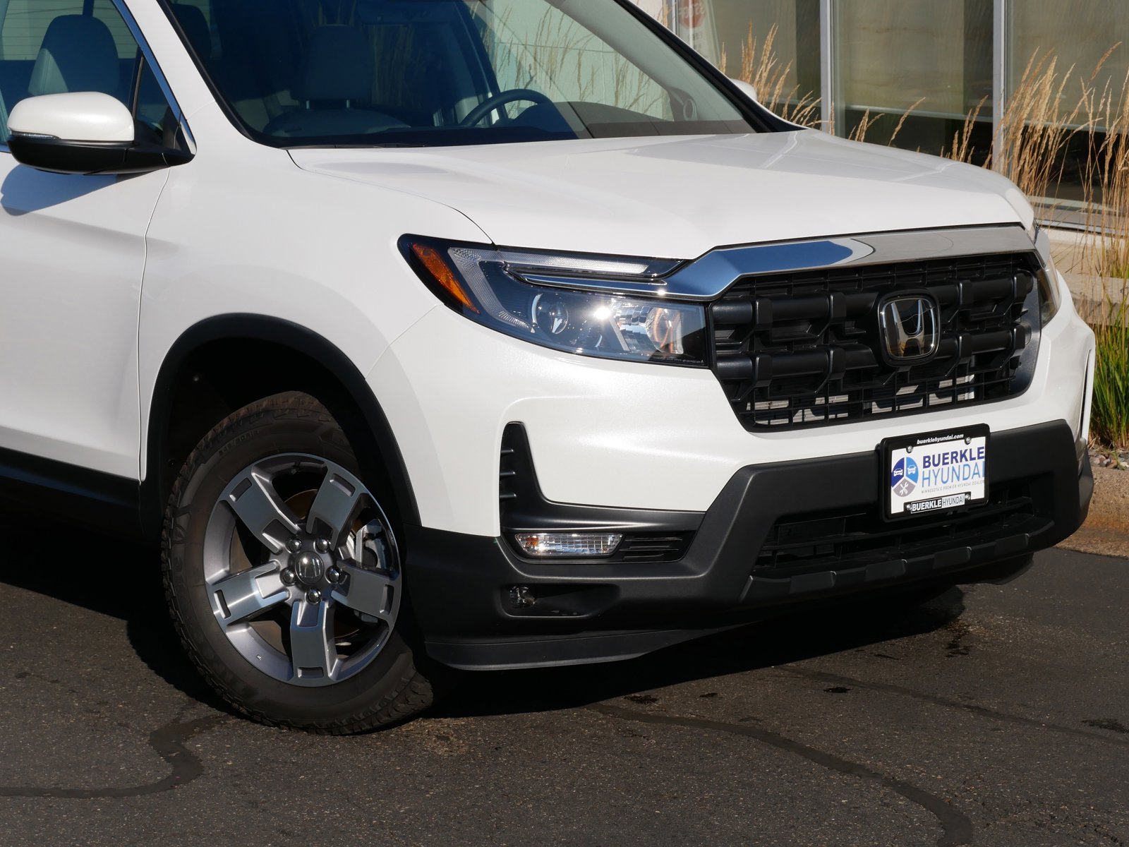 Used 2024 Honda Ridgeline RTL with VIN 5FPYK3F55RB002561 for sale in Saint Paul, MN