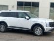  Hyundai Palisade Hybrid