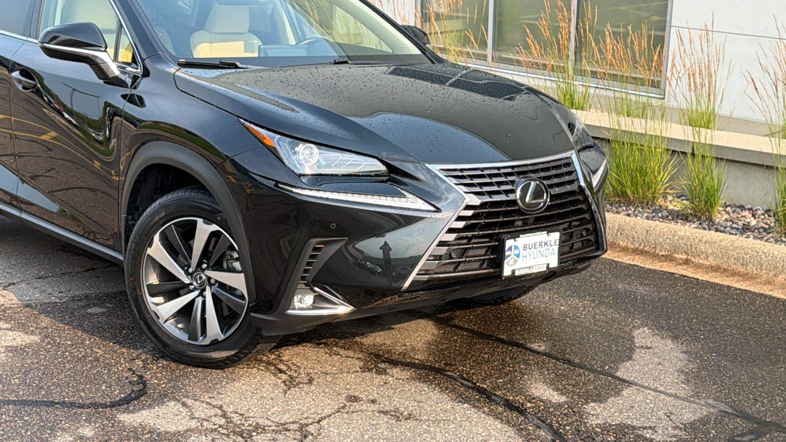 Used 2020 Lexus NX 300 with VIN JTJGARDZ8L5006349 for sale in Saint Paul, Minnesota