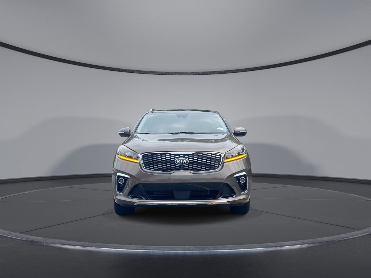 2019 Kia Sorento SX photo 3