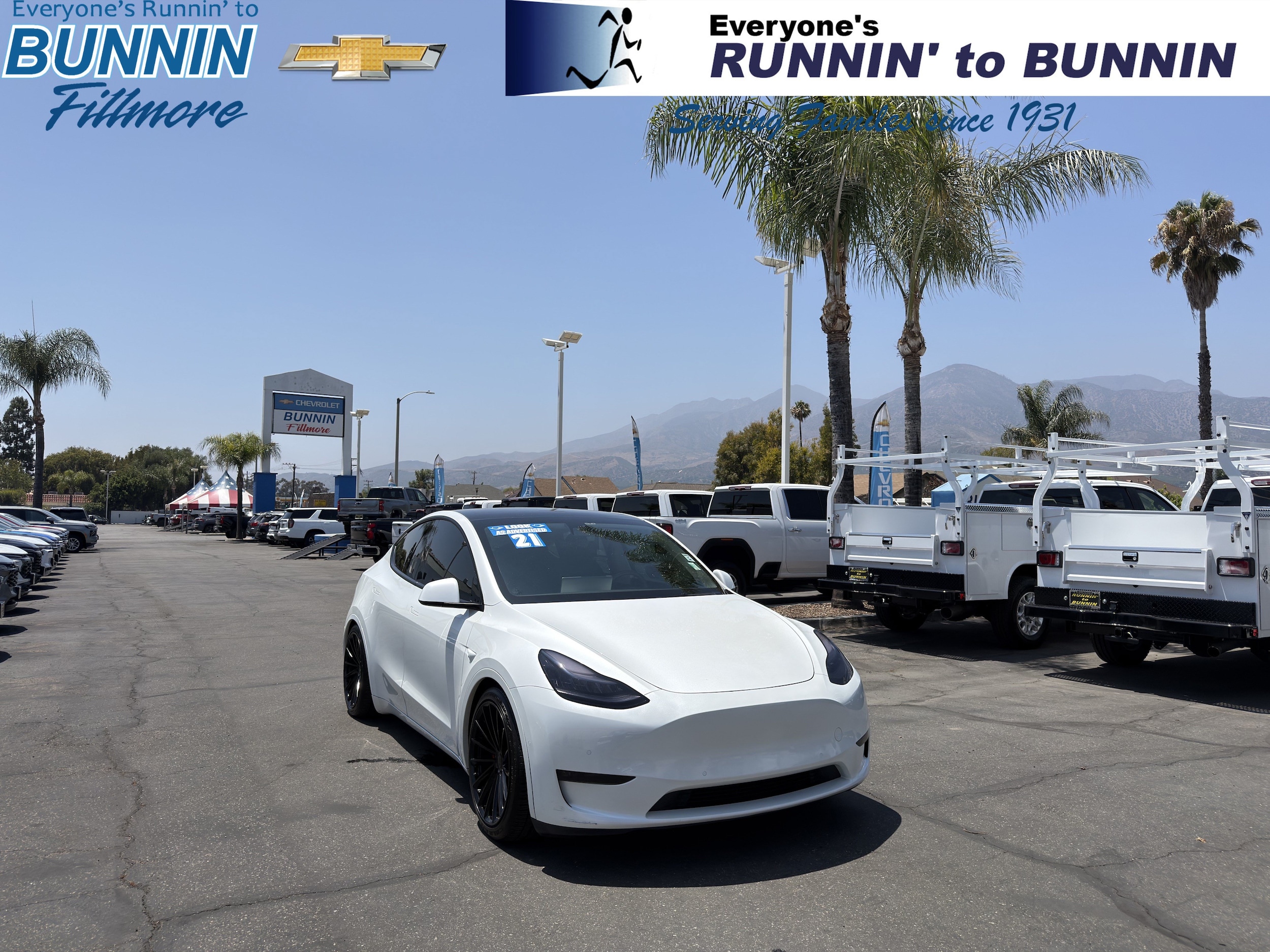 2021 Tesla Model Y Long Range Dual Motor All-Wheel Drive's photo