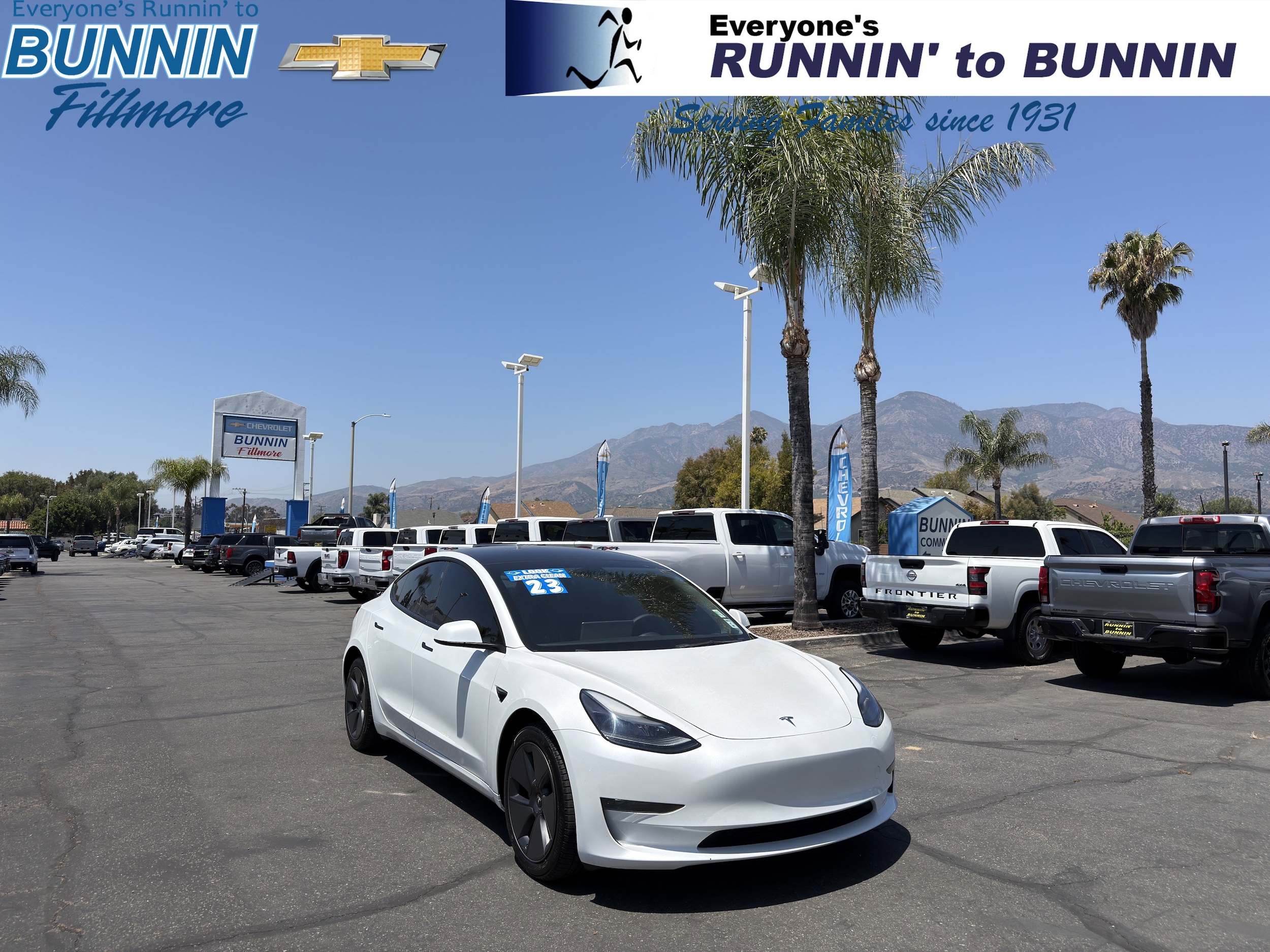 2023 Tesla Model 3 -'s photo