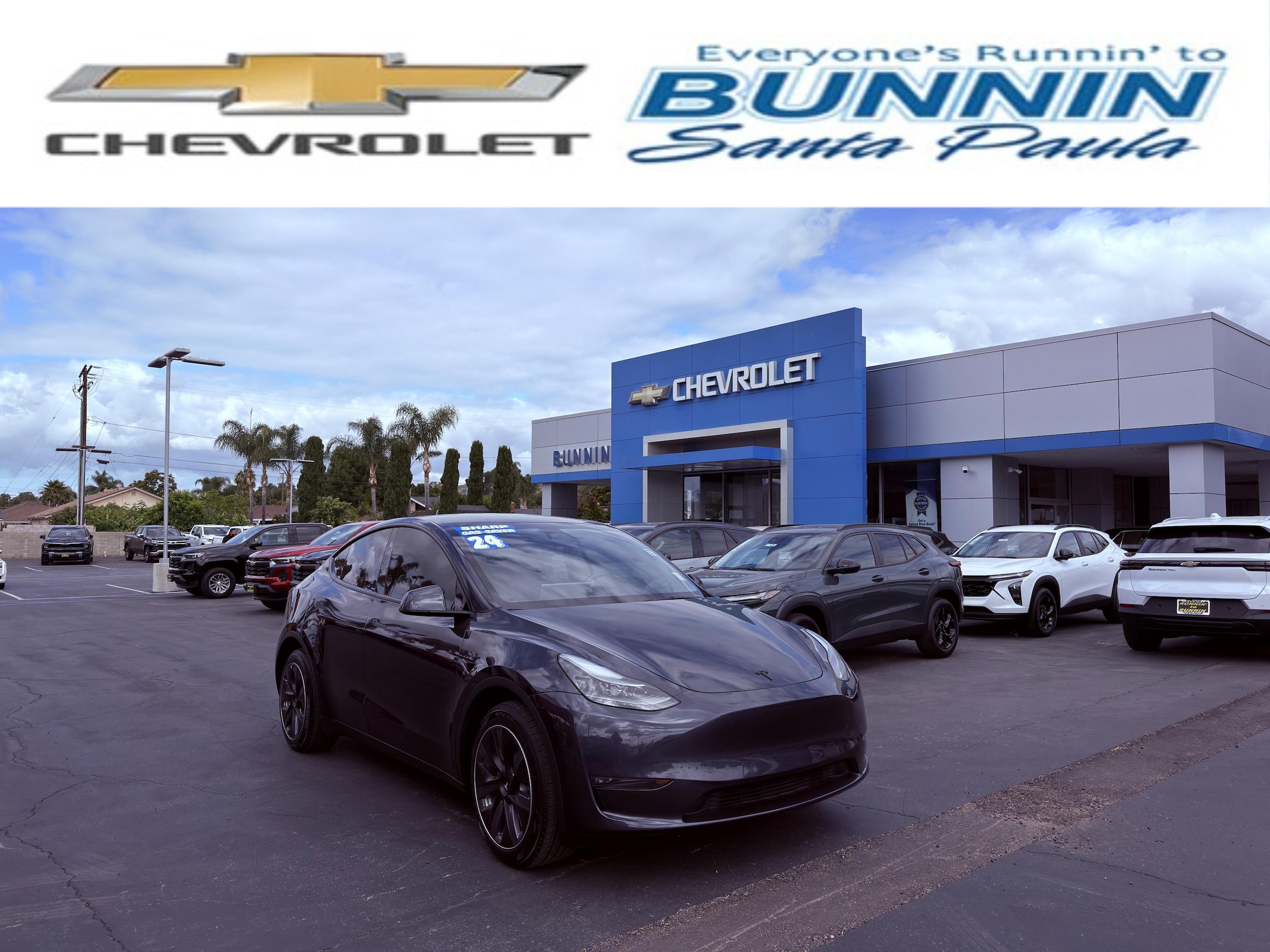 2024 Tesla Model Y Long Range Dual Motor All-Wheel Drive's photo