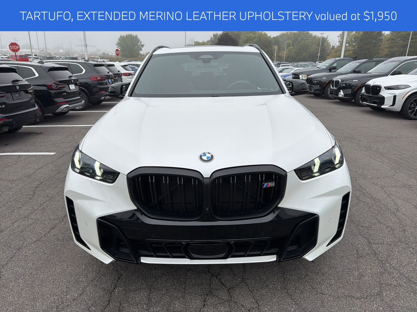 2025 Bmw X5 M60i photo 3