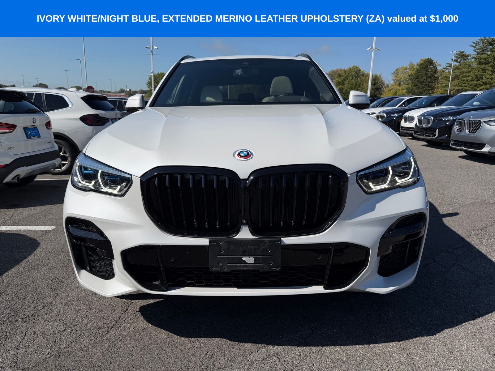 2022 Bmw X5 M50i photo 3