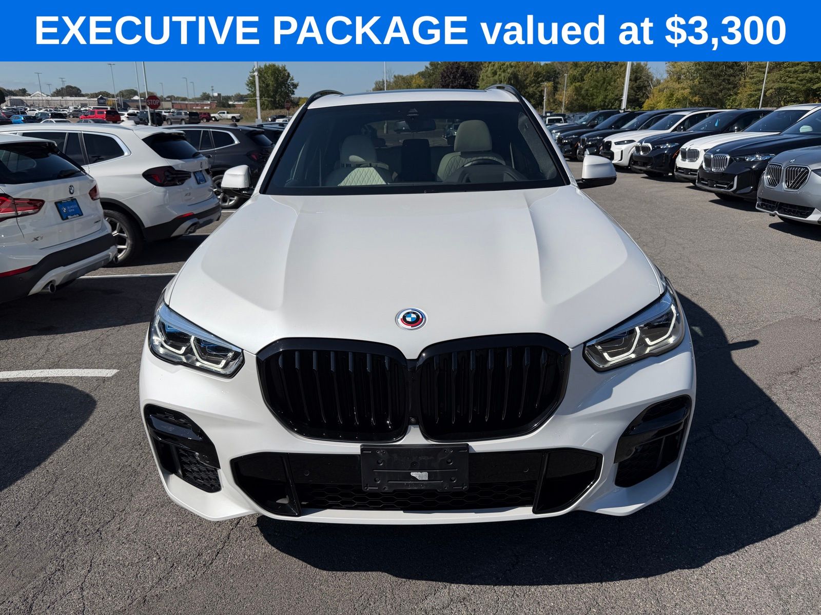 2022 Bmw X5 M50i photo 2