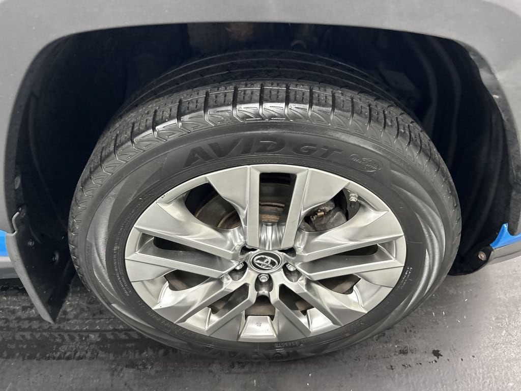 2019 Toyota RAV4 XLE Premium - Photo 8