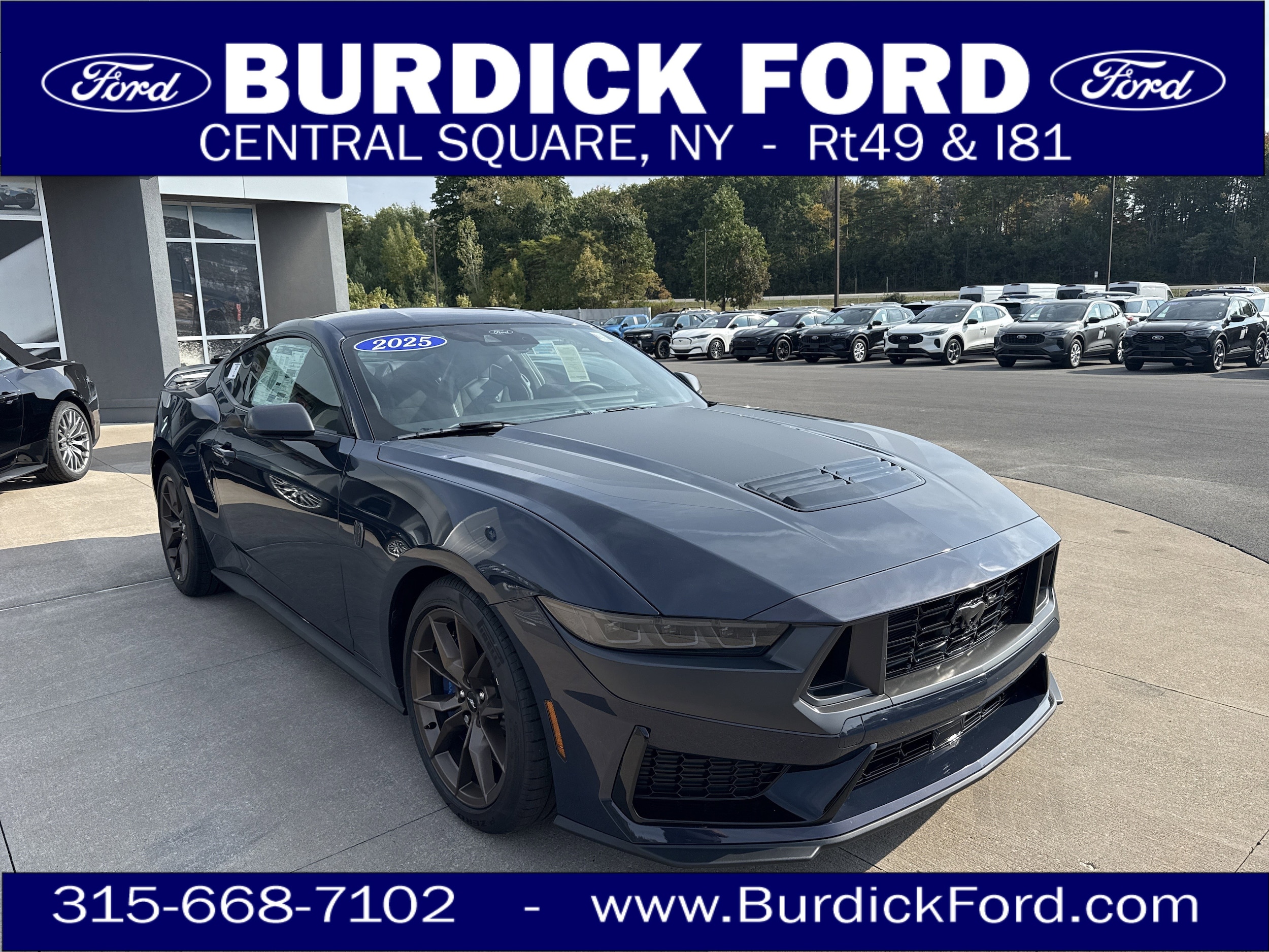 2025 Ford Mustang Dark Horse's photo