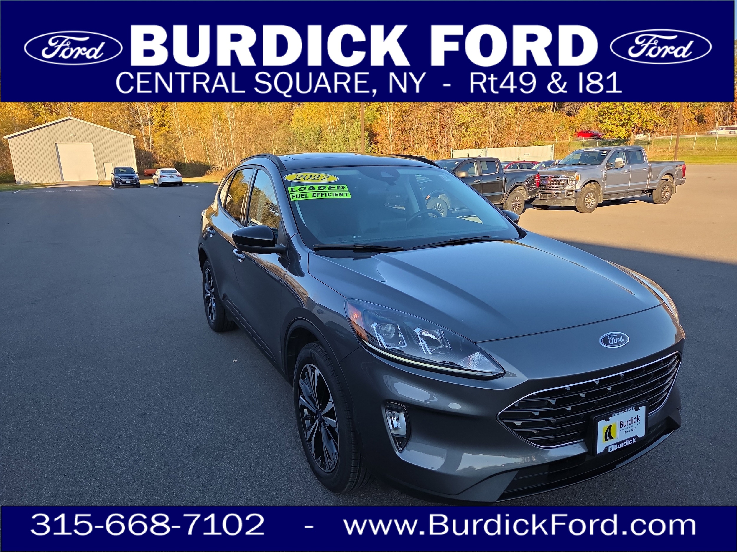 2022 Ford Escape SEL's photo