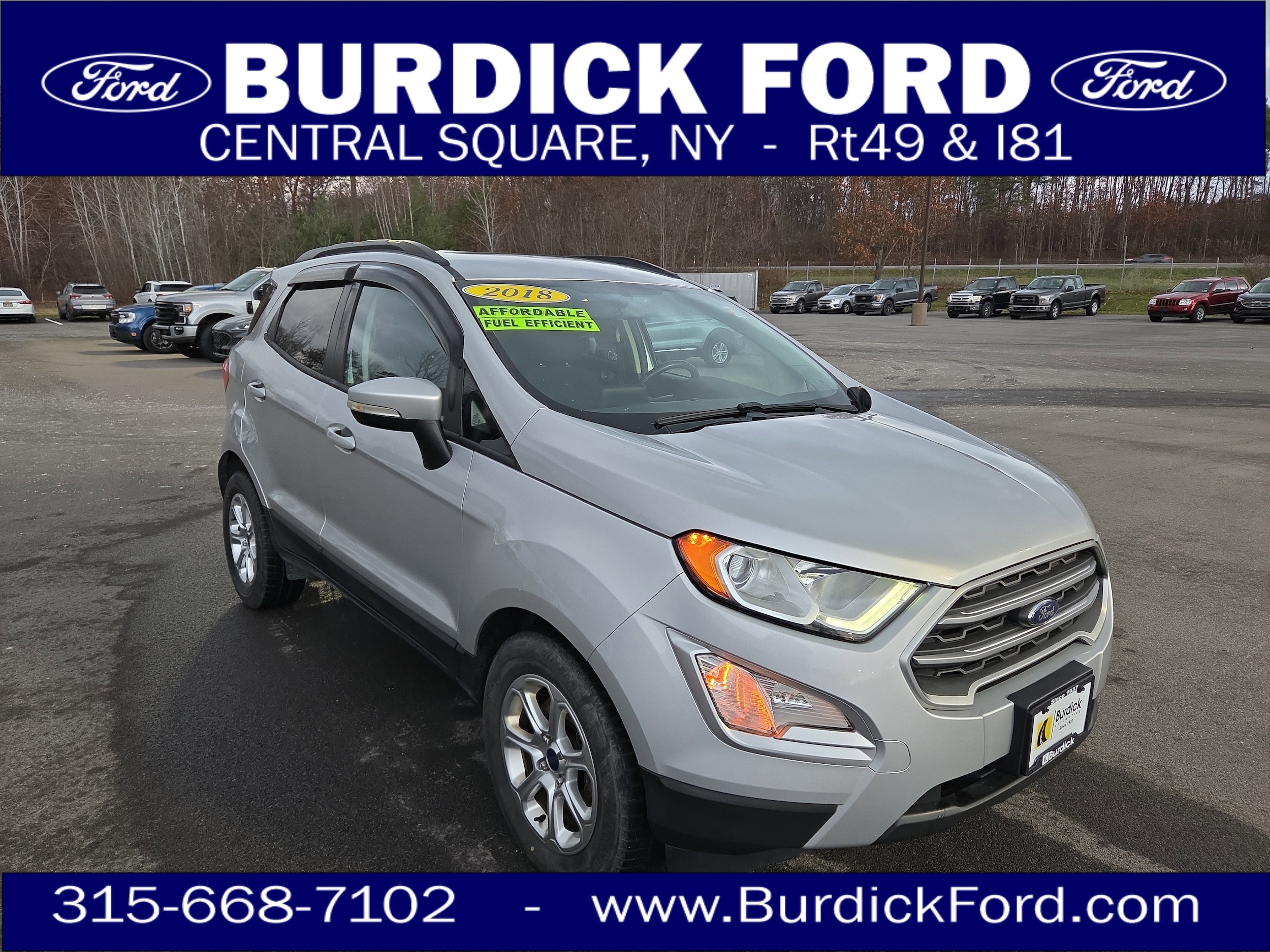 2018 Ford Ecosport SE