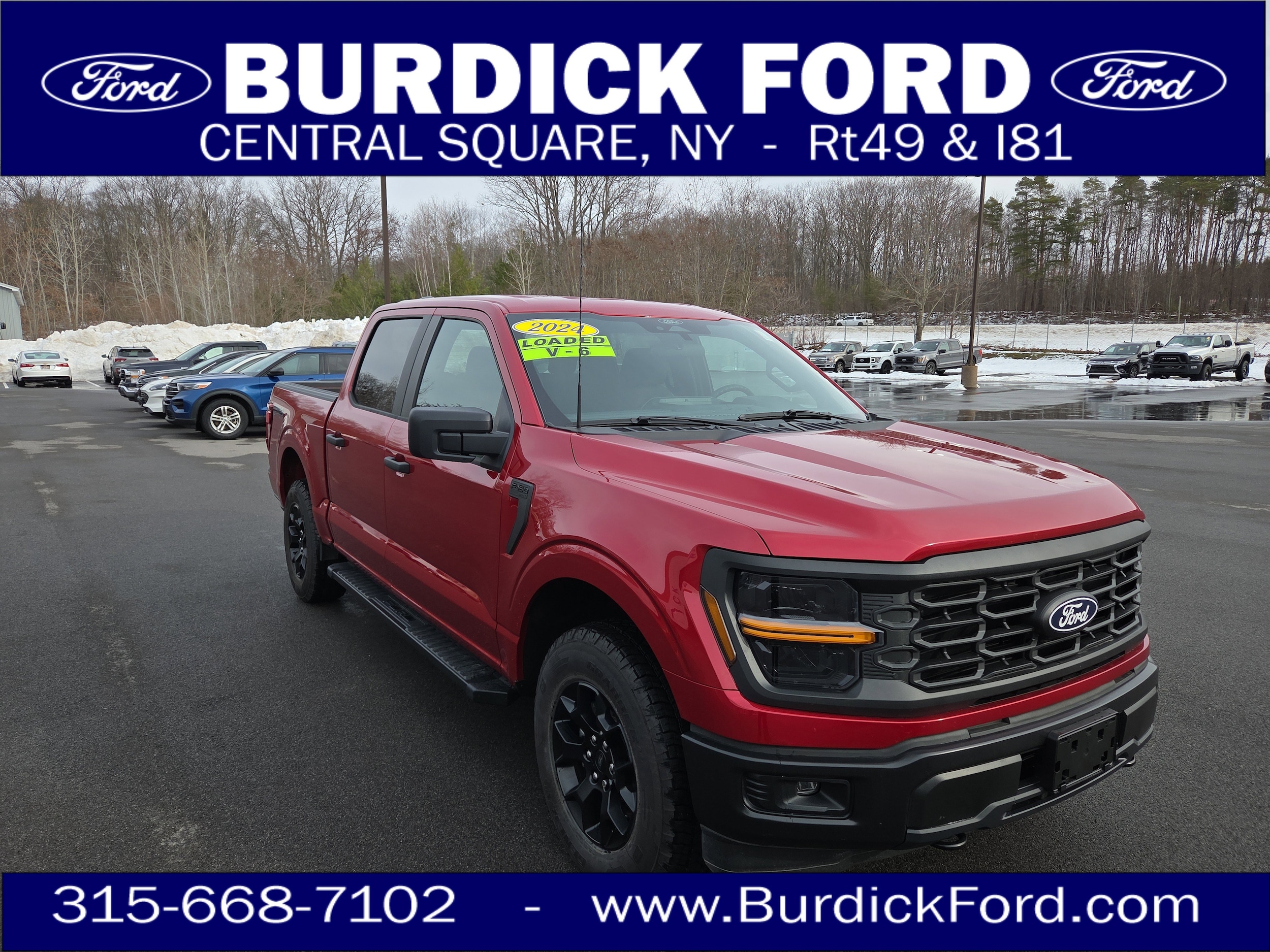 2024 Ford F-150 STX's photo