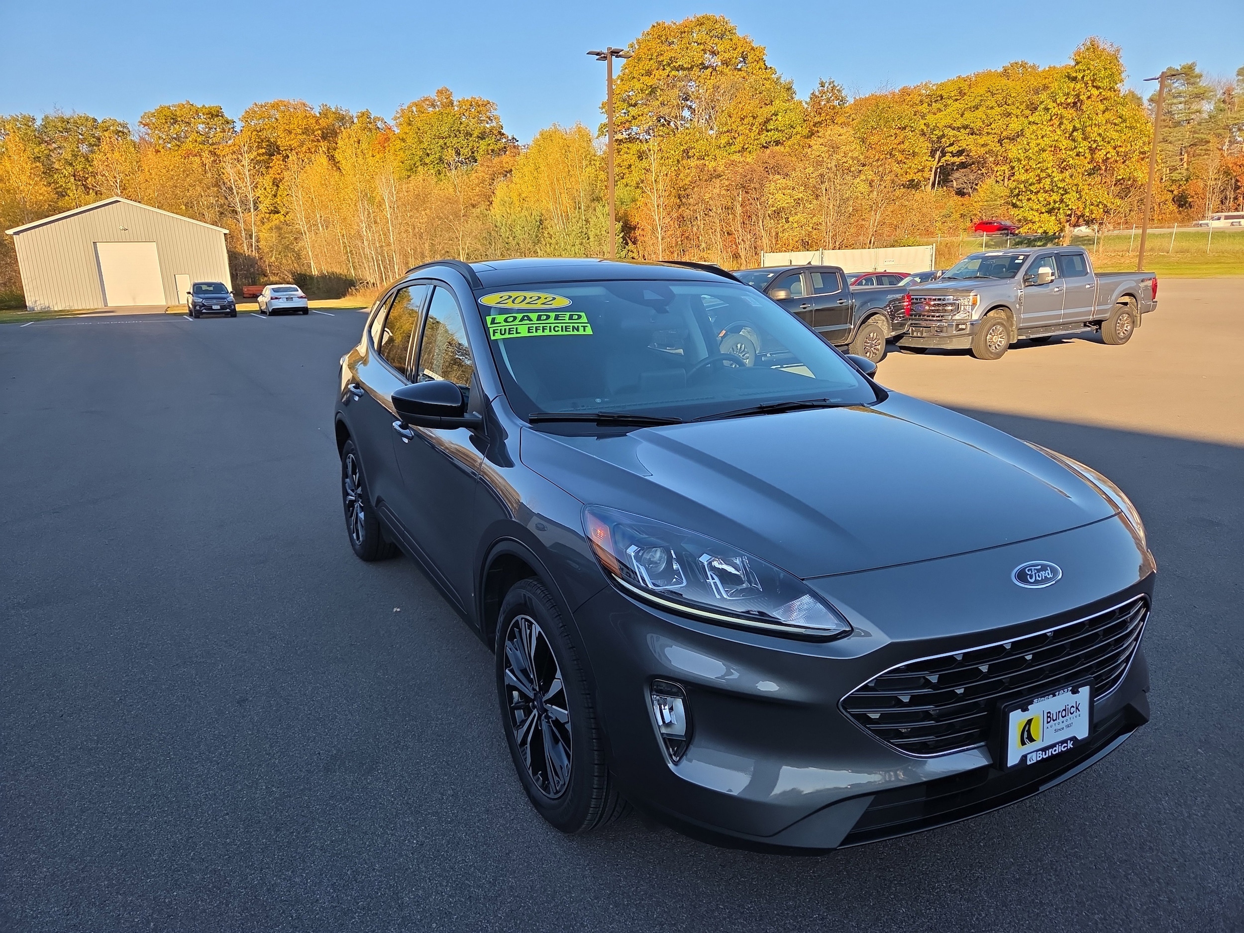 2022 Ford Escape SEL