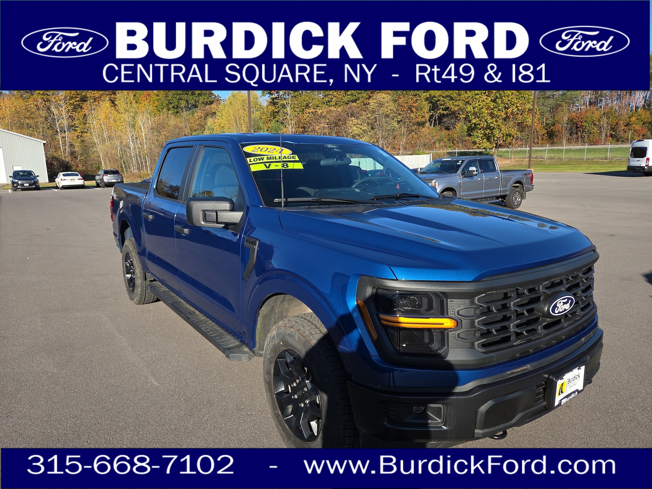 2024 Ford F-150 STX's photo