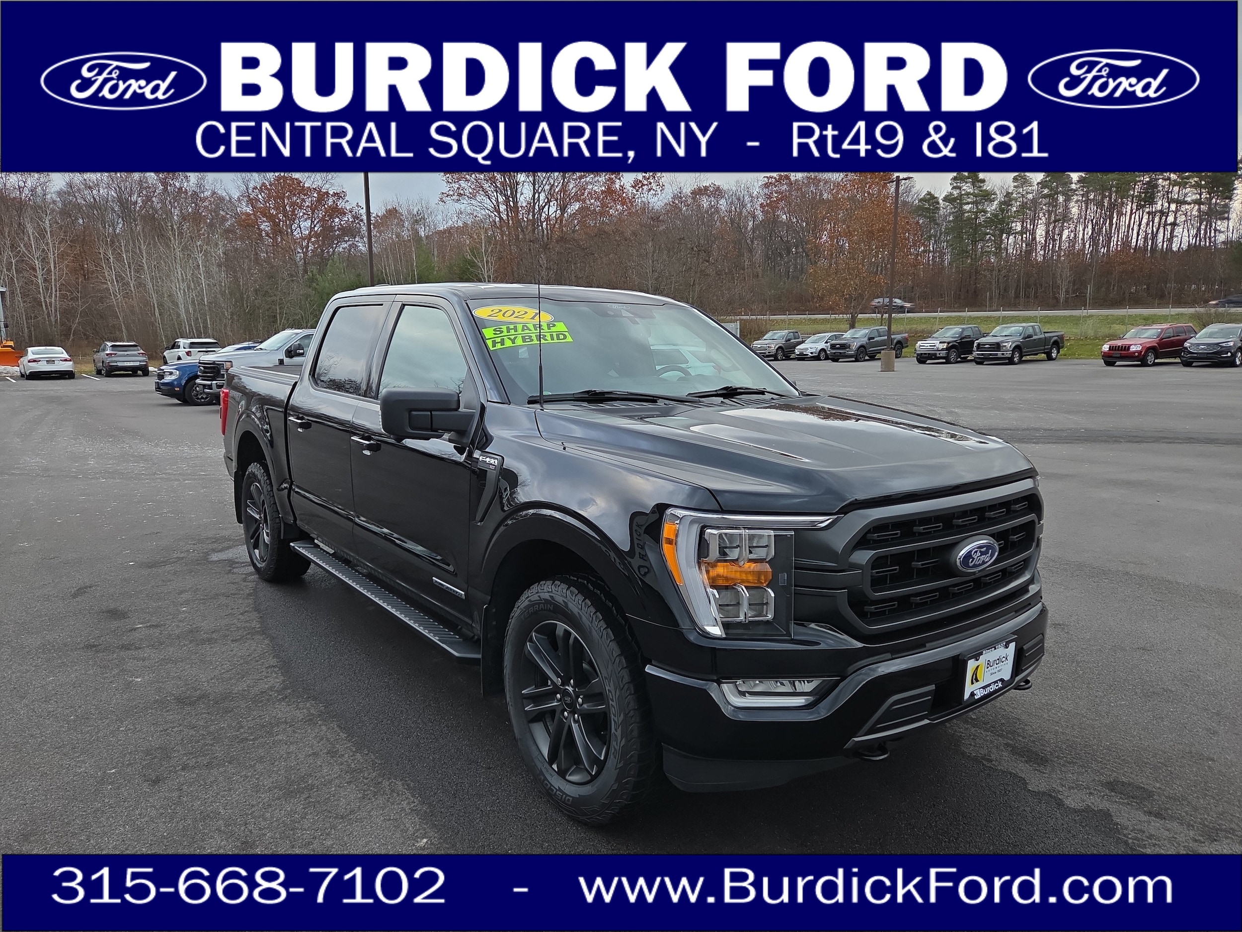2021 Ford F-150 XLT's photo