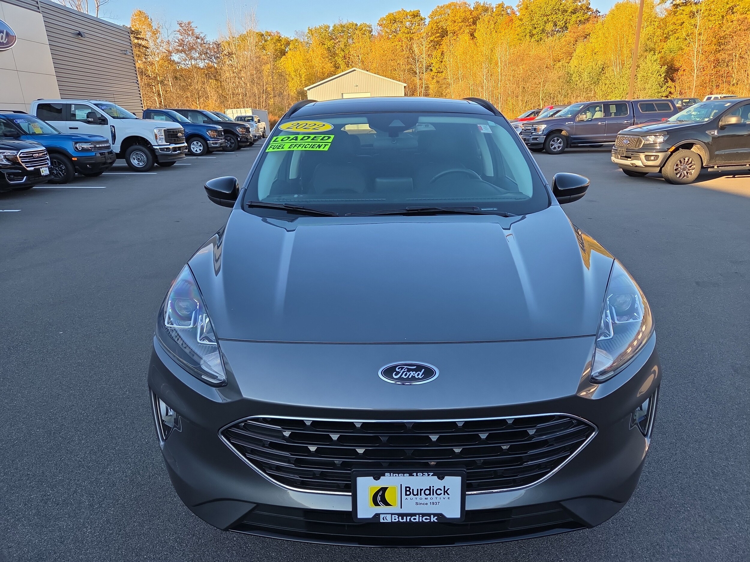 2022 Ford Escape SEL photo 2