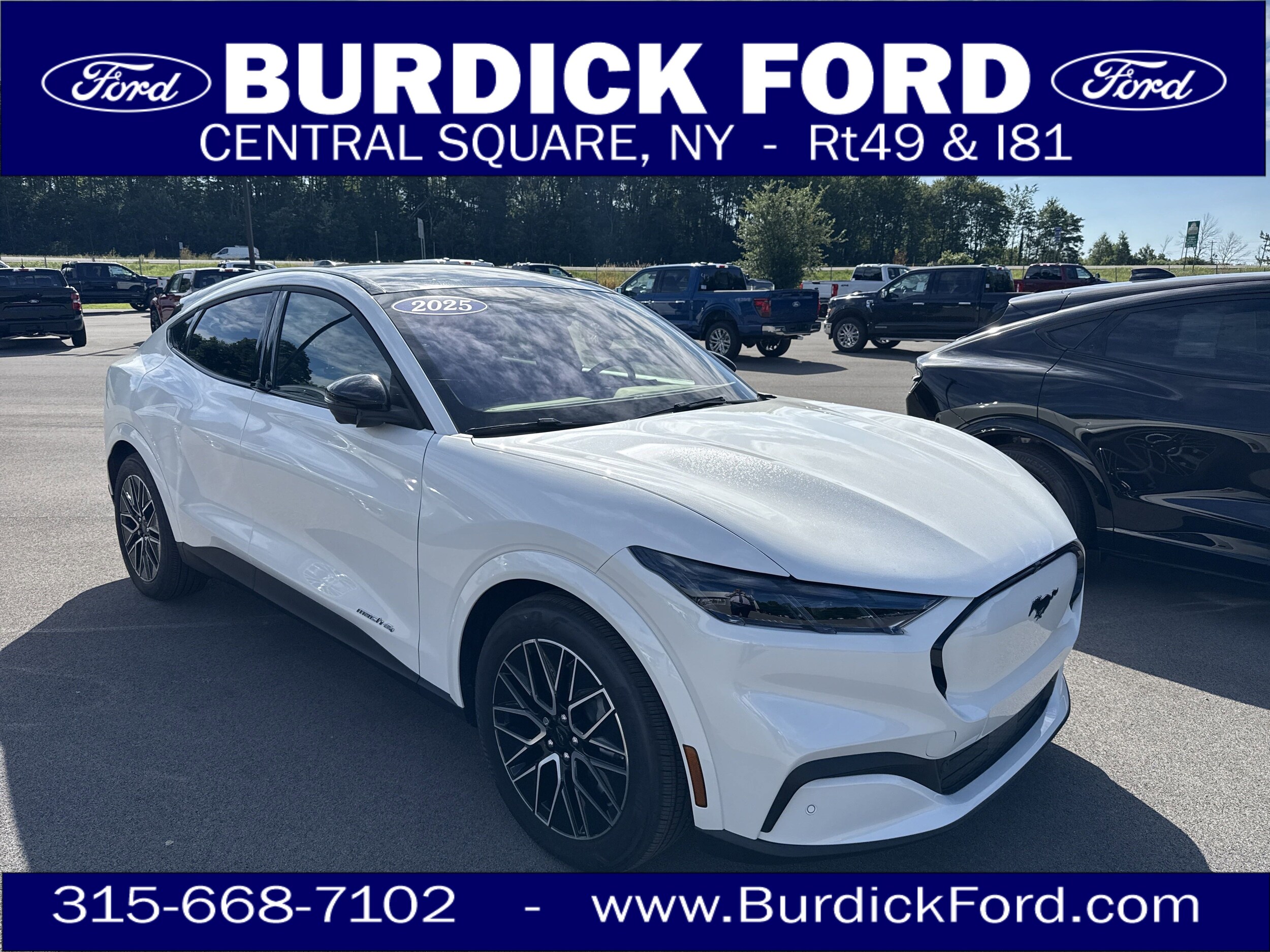 2025 Ford Mustang Mach-E Premium AWD's photo