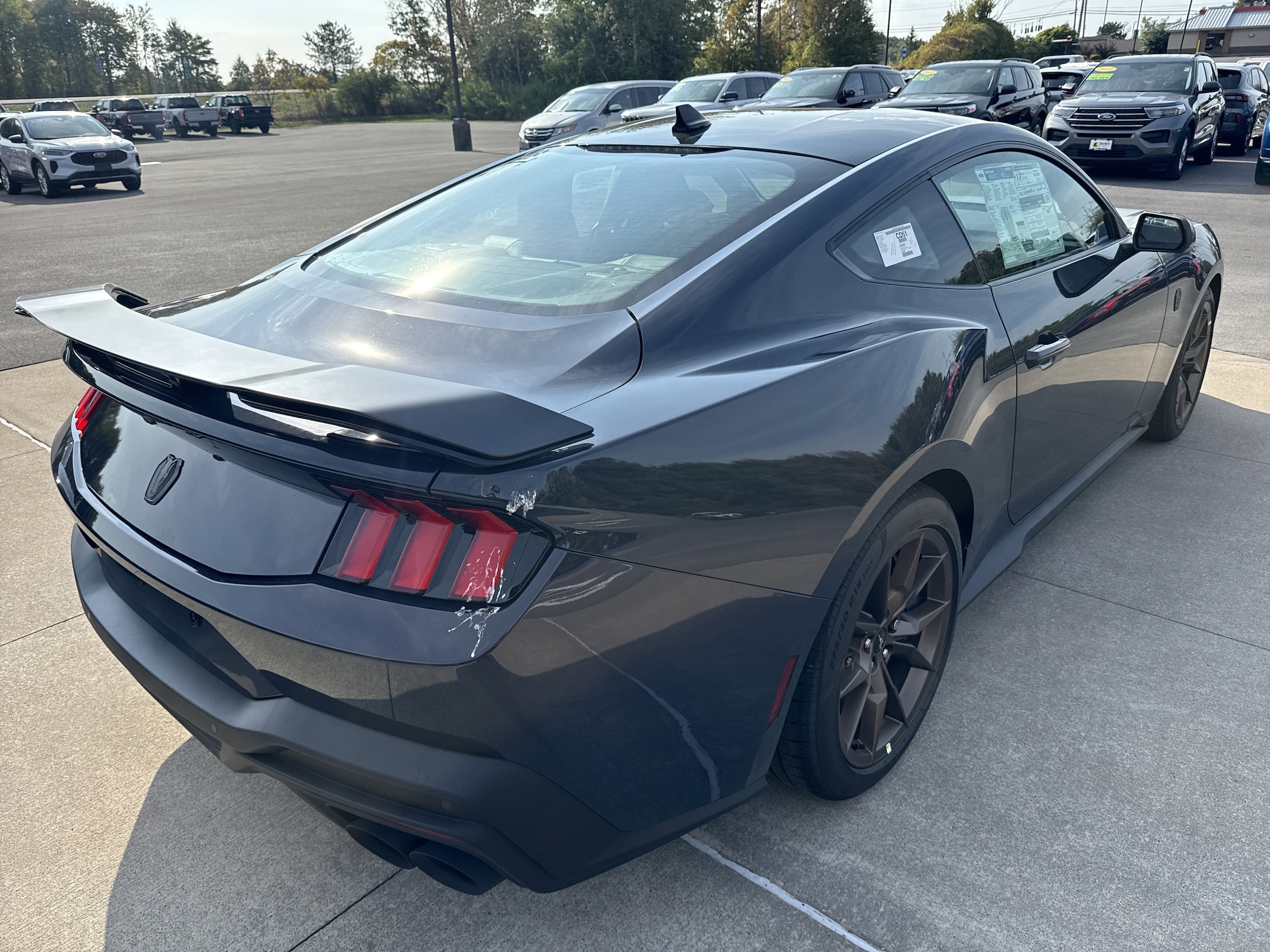 2025 Ford Mustang Dark Horse - Photo 4