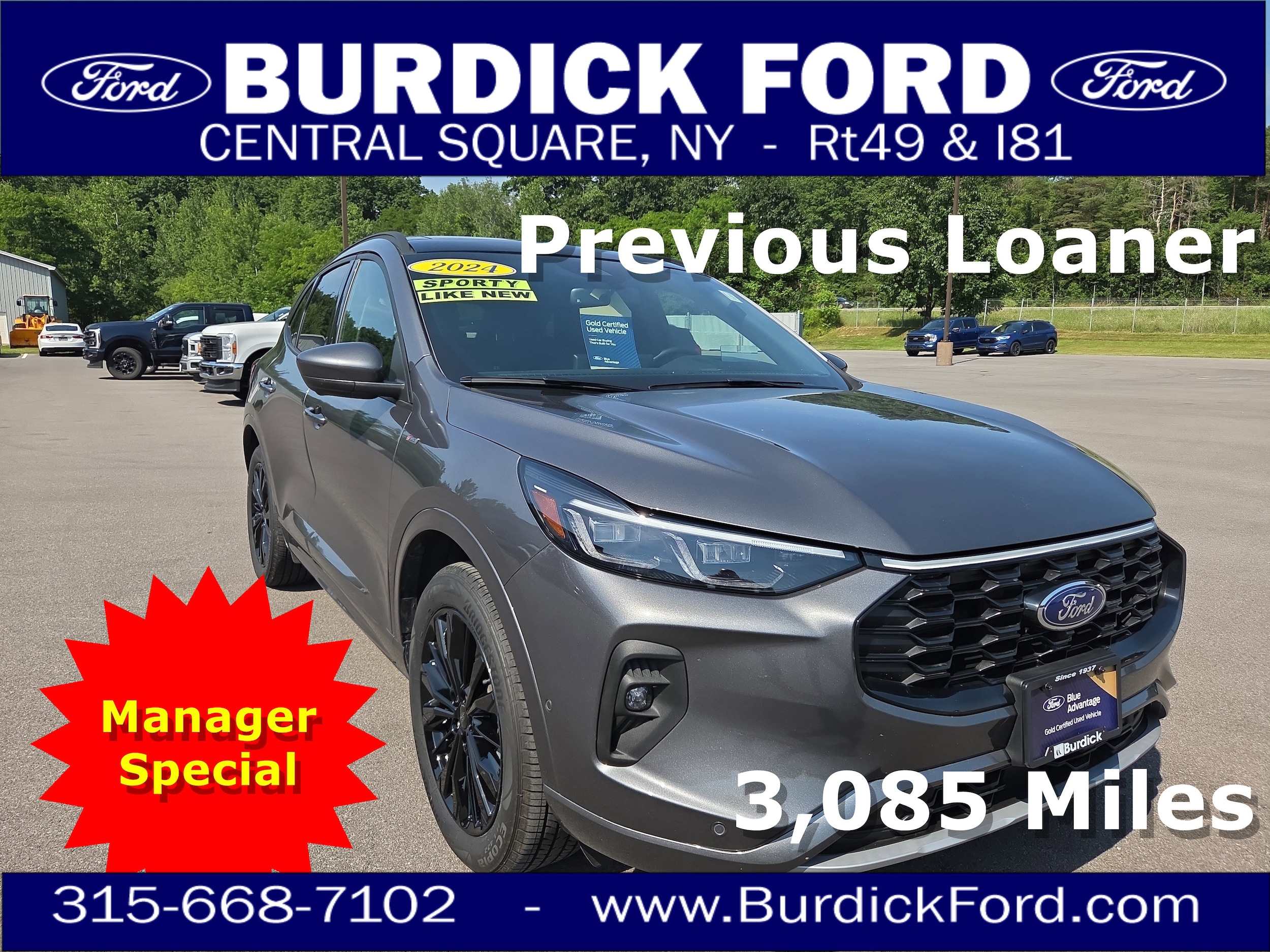 2024 Ford Escape ST-Line Elite's photo