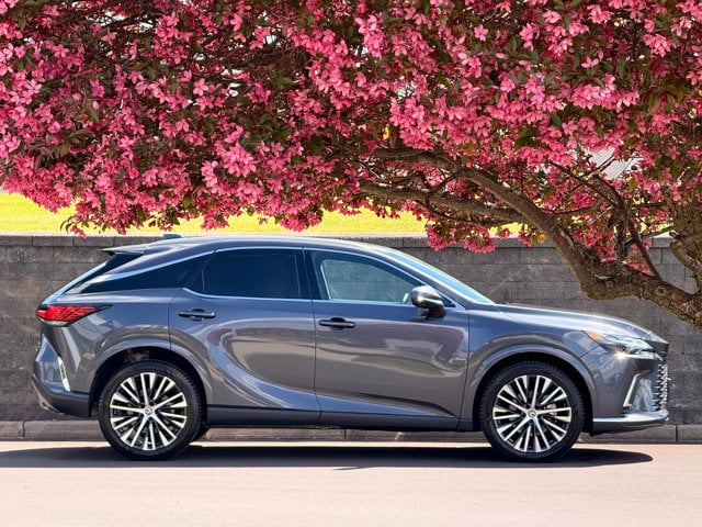 2025 Lexus RX 350 350 Premium Plus AWD's photo