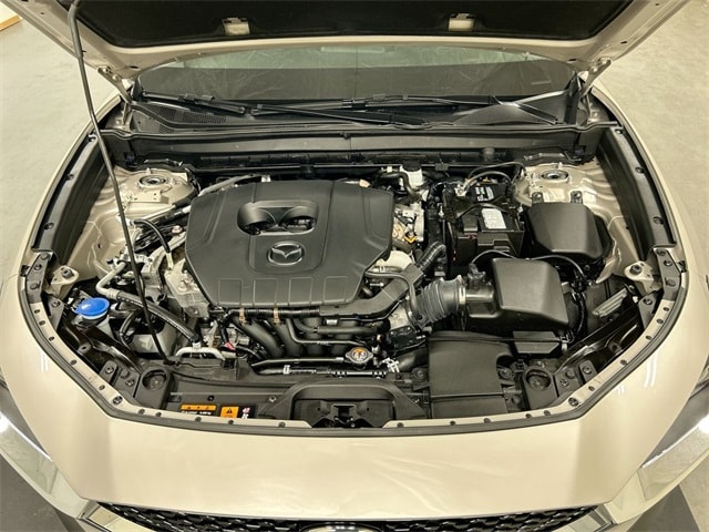 View 23