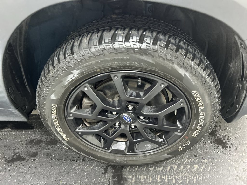 2024 Subaru Crosstrek Wilderness - Photo 8