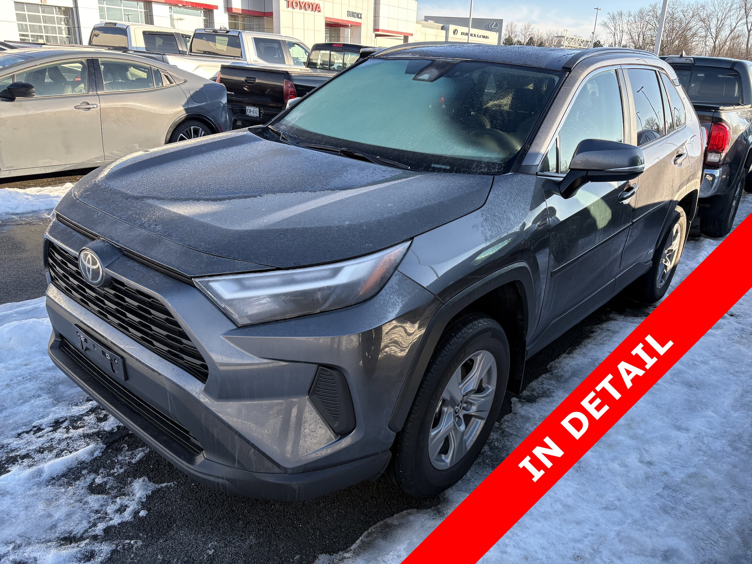 2025 Toyota RAV4 XLE's photo