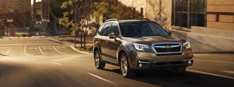 Subaru Dealers Nj >> Subaru Forester Subaru Dealer Near Cape May Nj Burke Subaru Subaru Dealers Nj >> Subaru Forester Subaru Dealer Near Cape May Nj Burke Subaru