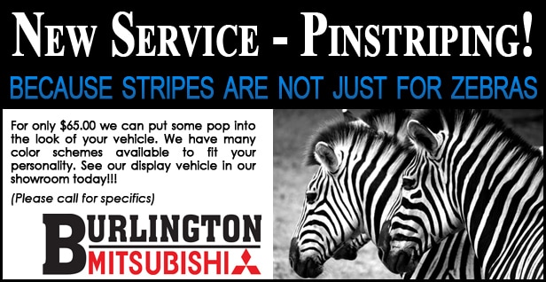 Mitsubishi Vehicle
Pin-striping Service