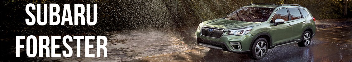 New Subaru Forester Deals